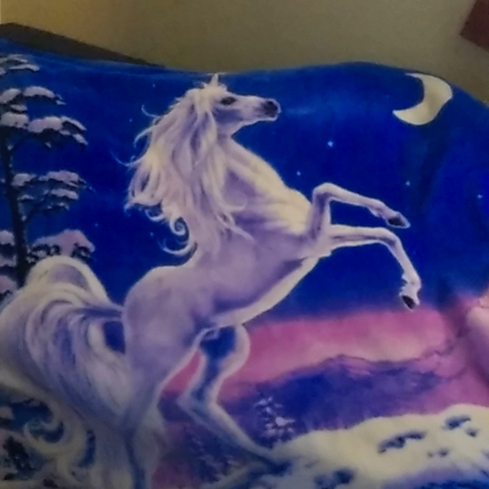 Unicorn blanket